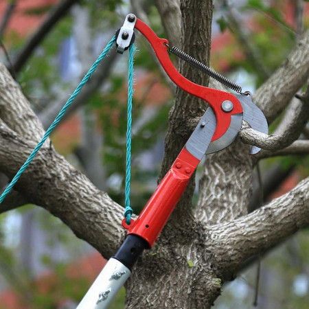 Extendable High Branch Trimmer Tree Pruner for Garden Trimming